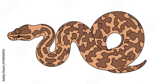 Captivating cartoon drawing of a ball python with intricate camouflage pattern for educational content or animal illustrations
