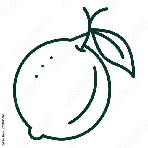 citron-fruit-line-art-on-white-background