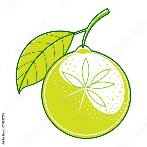 citron fruit line art on white baackground