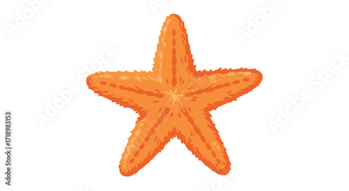 Vibrant starfish illustration on a clean white backdrop enhancing design versatility showcasing marine life and its symbolic associations as a