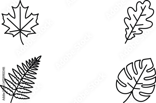 Maple, oak, fern, and monstera leaf outlines in simple botanical line art style