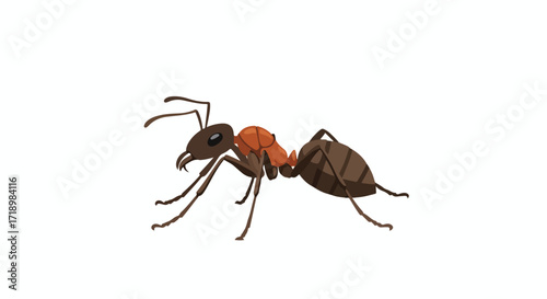 Illustrated ant with detailed anatomy showcasing segmented body and slender legs standing on a pristine white backdrop