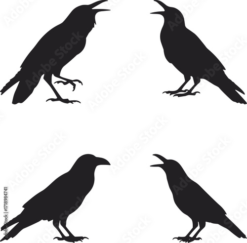 Four silhouette crows perched calling avian communication moment dark birds nature wild flock group