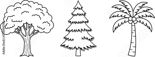Three different types of trees, a deciduous tree, pine tree, and palm tree in black outline