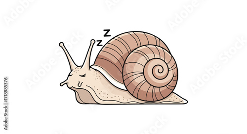 Illustration of a sleeping snail with closed eyes and 'Z' symbols indicating sleep, isolated against a pristine white background for use in