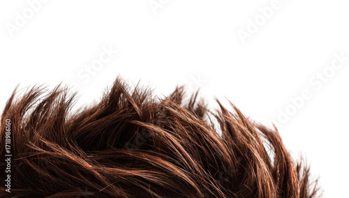 Close-up of brown hair strands