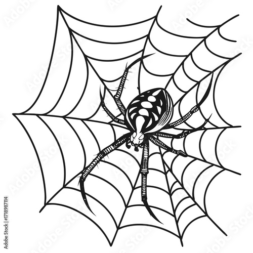 A spooky black arachnid illustration on a seamless Halloween spiderweb pattern