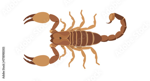 Illustration showcasing a stylized brown scorpion with detailed segmented body and prominent pincers in digital art style