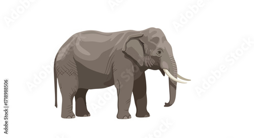 Elegant vector illustration showcasing a majestic elephant standing gracefully against a clean backdrop offering a crisp and minimalist presentation