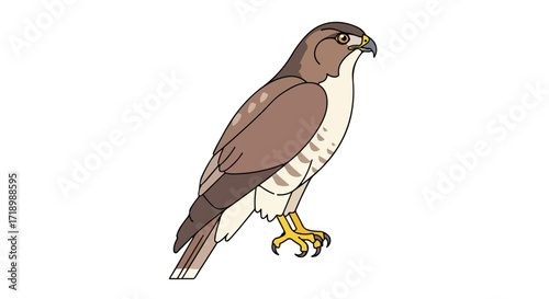 Animated illustration showcasing a poised hawk, exhibiting its natural hunting capabilities and sharp vision for catching prey in wild habitats