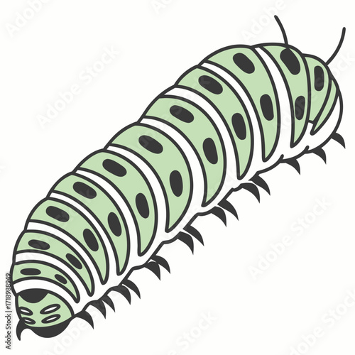 Isolated closeup macro of a green caterpillar on a leaf against a white background