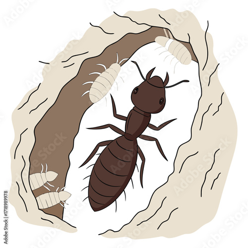A vector illustration of a cat on a white background with a funny cartoon mouse, fly, and caterpillar