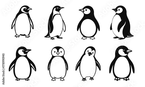 Penguin family illustration set, antarctic bird collection, cute penguin design, wildlife vector drawing, polar animal art