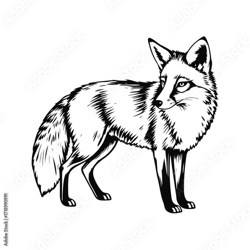 Fox silhouette standing alert, wild animal design, nature-inspired artwork, elegant forest creature, majestic animal profile illustration