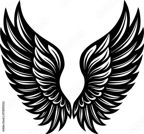 wings vector illustration, Angel wings feathered, isolated on white background, Black angel wings silhouette isolated on white background