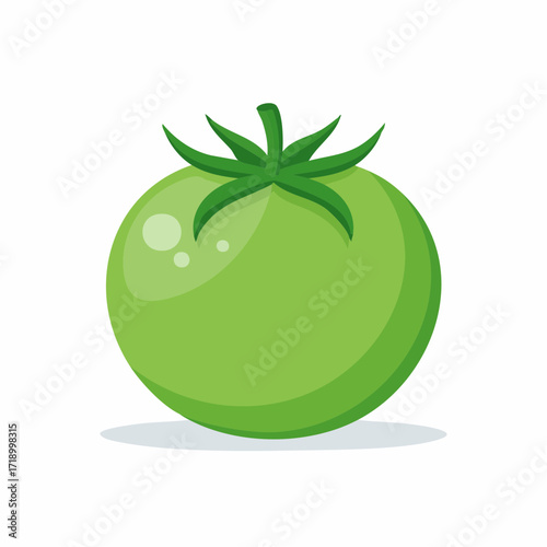 Bright green tomato vector in flat design, isolated on white for healthy food graphics