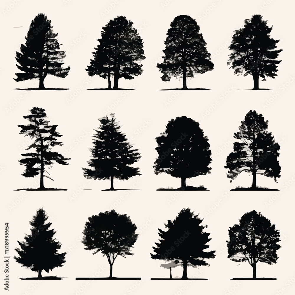 Fototapeta premium Collection of cedar tree silhouettes in black and white isolated on white background
