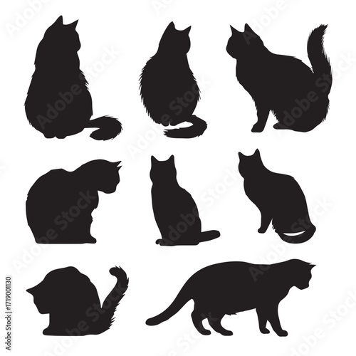 Collection of diverse fat cat silhouettes in various poses isolated on white background