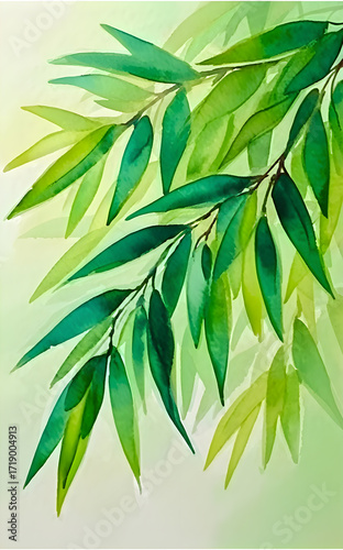 Green bamboo leaves isolated on white background