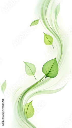 Fresh green leaves with water drops on a natural background evoke the beauty of spring and summer, illustrating the vibrant foliage of a healthy plant