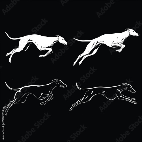 Collection of greyhound runner silhouettes in dynamic poses isolated on white background