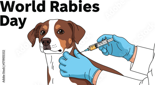 World rabies day with dog getting vaccinated concept of animal health and disease prevention