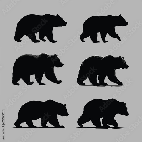 Collection of grizzly bear silhouettes in various poses isolated on white background