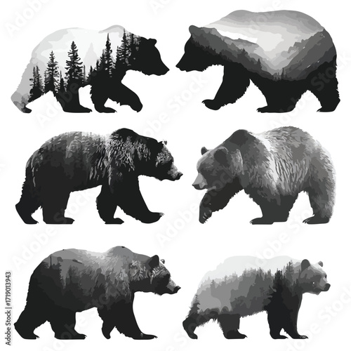 Collection of grizzly bear silhouettes in various poses isolated on white background