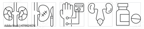 Nephrology icons set. Symbols related to kidney and it's diseases. Vector editable stroke.
