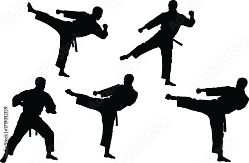 Silhouettes of a boxer in various fighting stances, representing strength, combat sports, and dynamic athletic training.