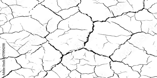 High resolution cracked dry earth texture, natural pattern background with white surface and dark fractures, abstract cracked ground design ideal for wall texture, grunge backdrop, or digital use.
