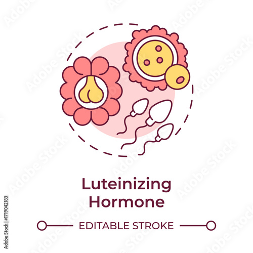 Luteinizing hormone multi color concept icon. Trigger ovulation and support production of progesterone. Round shape line illustration. Abstract idea. Graphic design. Easy to use in blog post