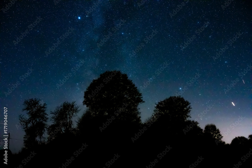 Fototapeta premium Milky Way stars with countryside tree and landscape silhouettes.