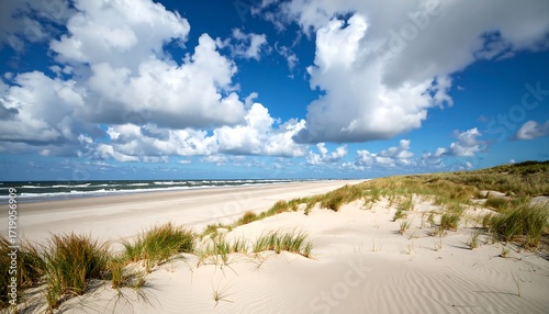 Fototapeta Naklejka Na Ścianę i Meble -  Coastal dune landscape under a blue sky