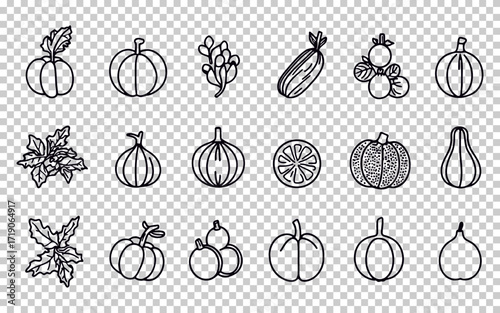 Variety of hand-drawn fruits and vegetables including pumpkins, zucchini, and grapes on transparent background