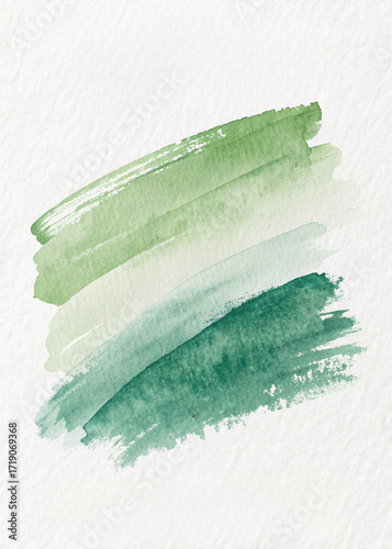 green leaf on white background