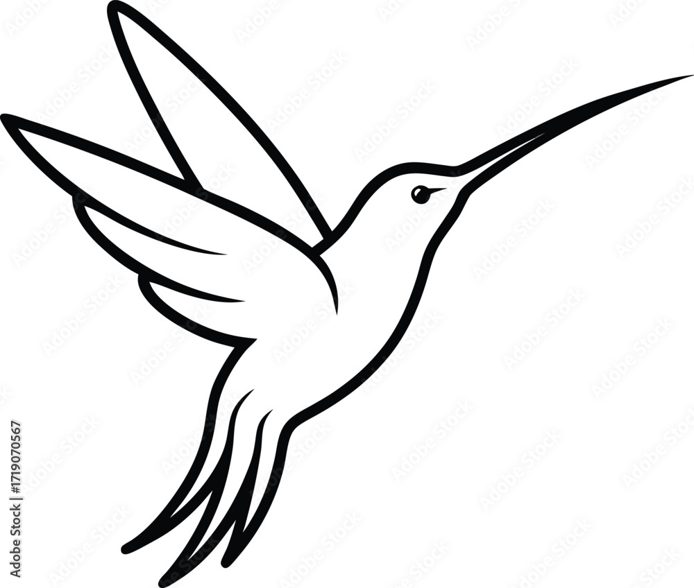 Fototapeta premium vector illustration of a bird line art on transparent background