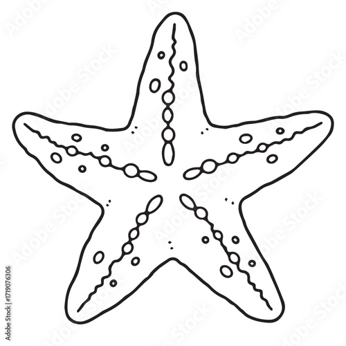 Starfish coloring pages coloring book