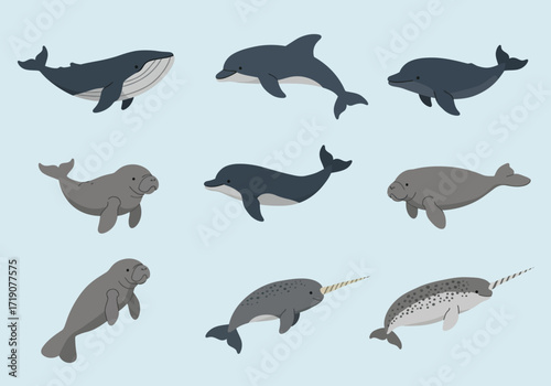 A cartoon array featuring whale dolphin manatee and narwhal illustrations on a light blue background
