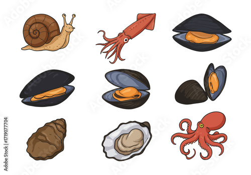 A collection of shellfish and mollusks in varying forms on a white backdrop