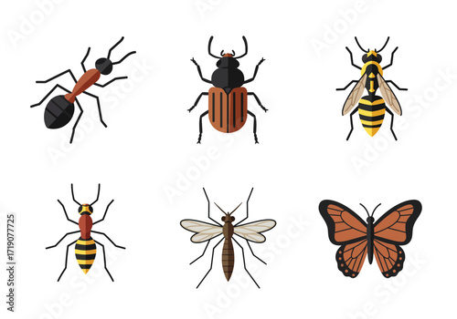 A collection of six insects ant beetle wasp another ant mosquito  butterfly