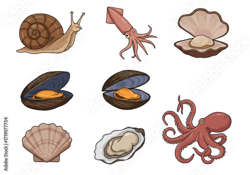 A drawing showing multiple types of shellfish and sea creatures