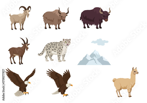 Assorted wildlife illustrations goats yaks snow leopard eagles llama mountains  cloud