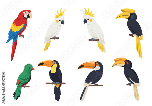 Collection of eight colorful tropical birds perched on branches showcasing diverse species with unique features