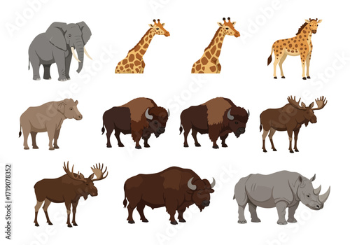 Eleven animals displayed in cartoon style elephant giraffe buffalo rhinoceros moose and tapir
