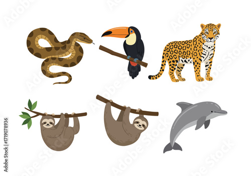 Six animal drawings snake toucan jaguar two sloths on branches and a dolphin