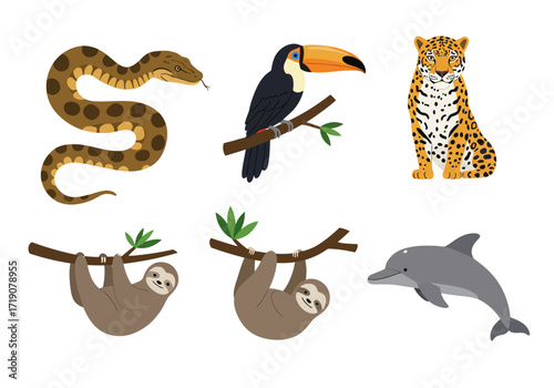 Six animals depicted snake toucan jaguar two sloths and a dolphin on a white background