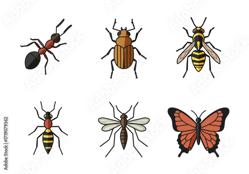 Six colorful insects arranged on a white background three insects on the top row and the other three on the bottom row