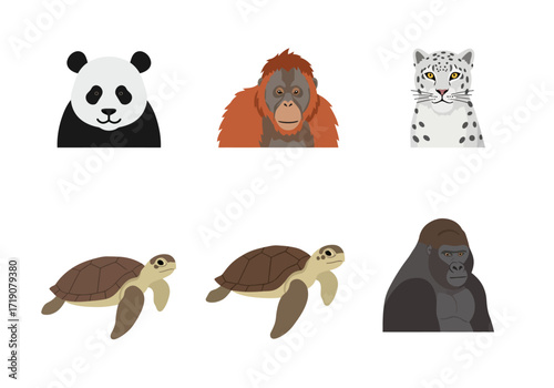 Six illustrations depict panda orangutan snow leopard two turtles and gorilla arranged on a white background