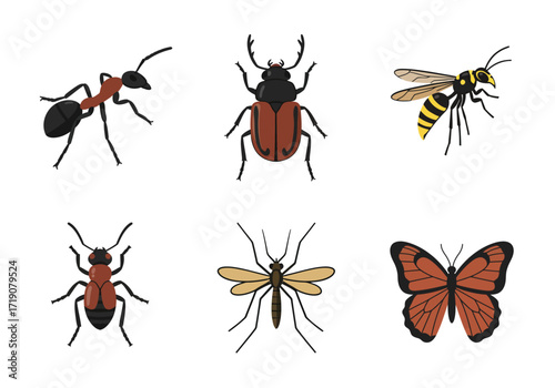 Six insects in two rows ant beetle wasp bug mosquito and butterfly
